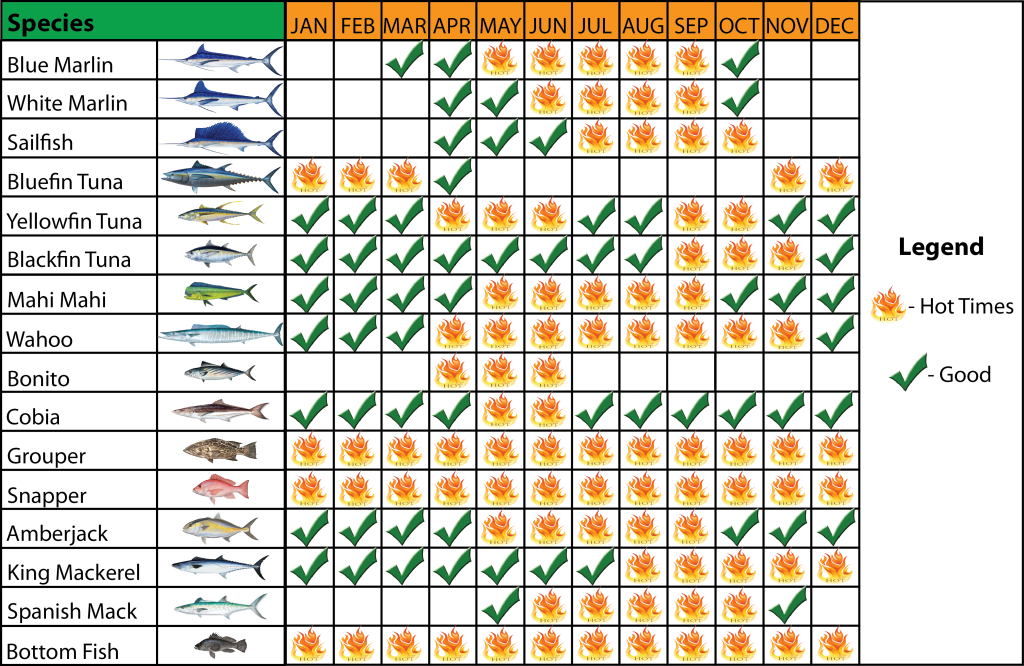 NC Fishing Charter Calendar