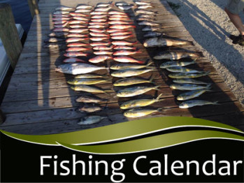 Fishing Species Calendar